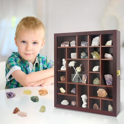 FramePro Rock Display Case - Adjustable Mineral Collection Box with Glass Lid, Wooden Cabinet for Rock, Fossil, Crystal, Seashell Collections - Geology Gift for Adults/Kids (16" x 13.5", Brown) in Saudi Arabia