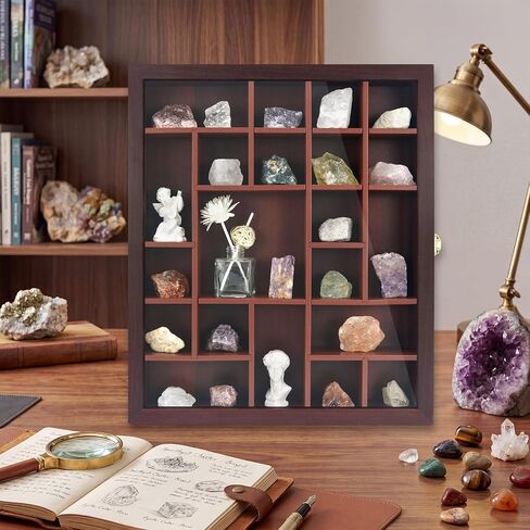 FramePro Rock Display Case - Adjustable Mineral Collection Box with Glass Lid, Wooden Cabinet for Rock, Fossil, Crystal, Seashell Collections - Geology Gift for Adults/Kids (16" x 13.5", Brown) in Saudi Arabia