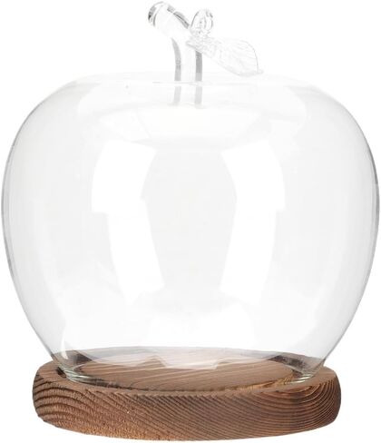 TOYANDONA Apple Dome Cover - Clear Cloche Showcase Round Apple Glass Display Dome Cloche for Preserved Flowershome Accessory, Display Collectibles, Valentine's Day Rose Plant Medal in Kuwait