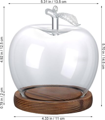 TOYANDONA Apple Dome Cover - Clear Cloche Showcase Round Apple Glass Display Dome Cloche for Preserved Flowershome Accessory, Display Collectibles, Valentine's Day Rose Plant Medal in Kuwait