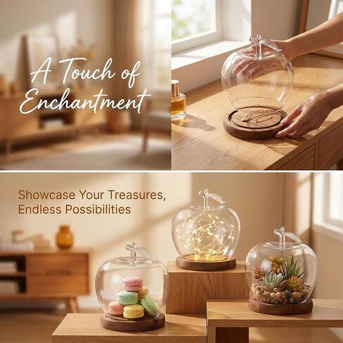 TOYANDONA Apple Dome Cover - Clear Cloche Showcase Round Apple Glass Display Dome Cloche for Preserved Flowershome Accessory, Display Collectibles, Valentine's Day Rose Plant Medal in Kuwait