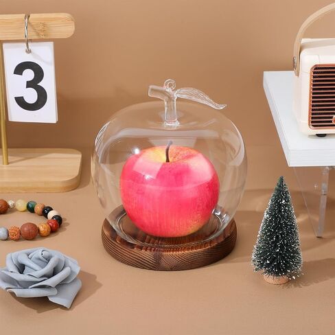 TOYANDONA Apple Dome Cover - Clear Cloche Showcase Round Apple Glass Display Dome Cloche for Preserved Flowershome Accessory, Display Collectibles, Valentine's Day Rose Plant Medal in Kuwait