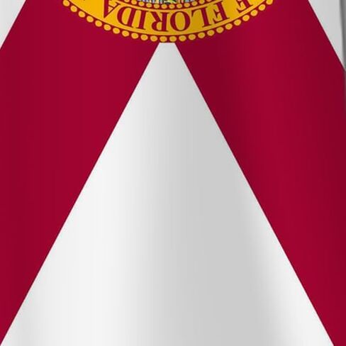 Three Rooker Florida Ties Mens Flag Necktie Florida State Flag Tie for Men Floridian Flag in Kuwait