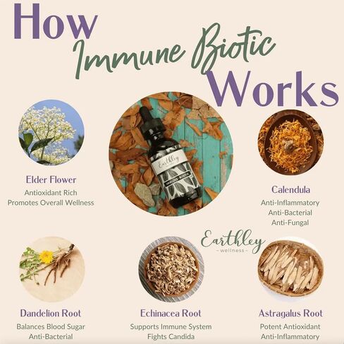 Earthley Wellness Immune Biotic, Herbal Immune Tincture for Cold, Flu, and Overall Immune Health, Natural Ingredients Like Astragalus Root and Elderflower. (4oz, Original) in Saudi Arabia