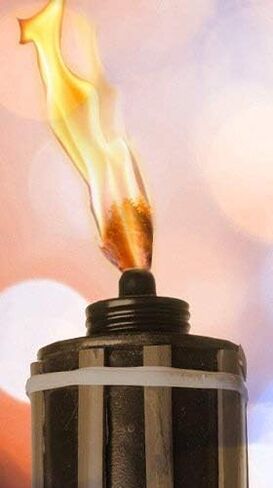 1/4" x 4' Foot Wick It Up With Us 1/4" Round Fiberglass Replacement Wick 4' Kerosene Oil Lamps Lanterns Torch Wine Bottle Candle Mood Lighting (14)(1 4) Emergency Lighting Lamp 17 in Saudi Arabia