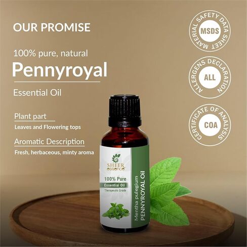 زيت Pennyroyal (Mentha Pulegium) زيت أساسي 100% زيت طبيعي نقي غير مخفف وغير مقطوع بدرجة علاجية 0.33 FL.OZ in Kuwait