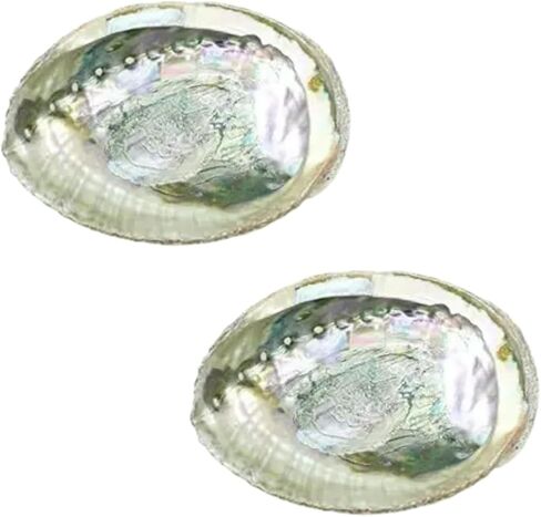 2Pcs Colorful Fashionable Large Abalone Shell Bowl, 4-4.5 Inch Exquisite Natural Sea Shell Smudge Bowl for Sage Burning and Incense for Decor, Display and Great Gift, Incense Holders, Decorations in Saudi Arabia