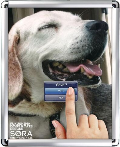 M&T Displays Snap Poster Frame 16x20 Inch Silver 1" Aluminum Profile Front Loading Wall Mounting Picture Photo Document Certificate Sign Holder Round Corner Anti Glare Cover in Saudi Arabia