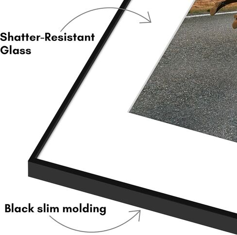 إطار صورة Americanflat تحميل أمامي مقاس 16 × 20 مع زجاج مقاوم للكسر - مجموعة من قطعتين - يُستخدم كإطار مقاس 11 × 14 مع حصيرة - مجموعة متروبوليتان - إطارات صور لعرض الحائط - أسود in Saudi Arabia