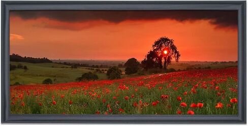 14x34 Panoramic Photo Frame Black Solid Wood 14x34 inch Picture Frame Painting Frame 14x34 inch Poster Frame(S23B1434) in Saudi Arabia