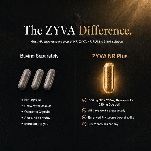 ZYVA NR Plus - نيكوتيناميد ريبوسيد 500 ملغ + ترانس ريسفيراترول 250 ملغ + كيرسيتين فيتوسوم 250 ملغ - يدعم إنتاج NAD+ ونشاط السيرتوين - الدفاع الخلوي - 60 كبسولة نباتية - شيخوخة صحية in Kuwait