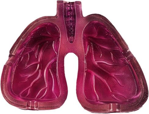 Creative Human Lung Shape Ashtray Resin Craft, Smooth Texture Holder for Outdoor Patio, Art Enthusiast Gift in Saudi Arabia