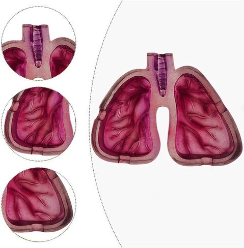 Creative Human Lung Shape Ashtray Resin Craft, Smooth Texture Holder for Outdoor Patio, Art Enthusiast Gift in Saudi Arabia