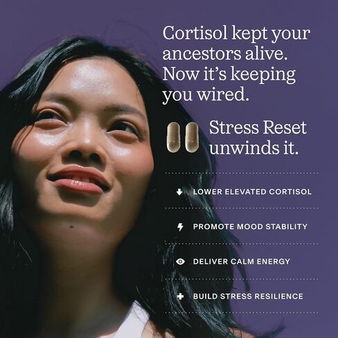 THESIS Stress Reset with Caffeine, Supplement for Men & Women with Ashwagandha, Vitamin D3, L Theanine & Saffron, Kit with Glass Bottle & Refill Sachets, Vegan, Non GMO, 25 Servings, 1 Month Supply in Saudi Arabia