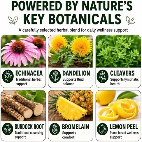 Lymphatic Drainage & Detox Supplement – Natural Herbal Capsules with Echinacea, Dandelion & Burdock Root – Supports Immune Health, Fluid Balance & Energy – 90 Count in Saudi Arabia