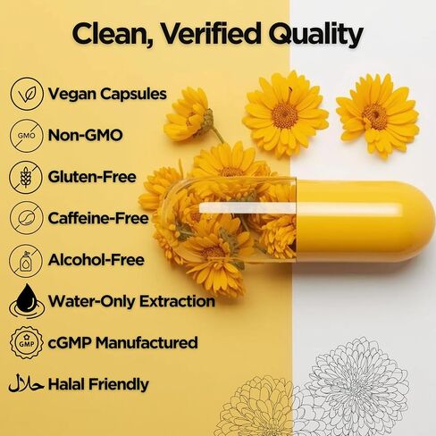 Chrysanthemum Flower Extract Capsules (10:1) | Strongest in US | 1,000 mg Extract per Serving | 120 Vegan Capsules | Herbal Antioxidant & Eye Support* | Caffeine-Free, Alcohol-Free, Non-GMO in Kuwait