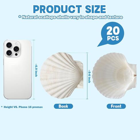 20 PCS 5"-6" Extra Large Scallop Shells for Crafts, Natural White Seashells for DIY Painting, Decoupage, Beach Wedding Gifts & Home Decor, Bulk Jumbo Scallop Shells (13-15cm) in Saudi Arabia