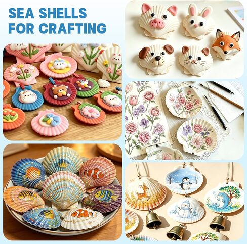 20 PCS 5"-6" Extra Large Scallop Shells for Crafts, Natural White Seashells for DIY Painting, Decoupage, Beach Wedding Gifts & Home Decor, Bulk Jumbo Scallop Shells (13-15cm) in Saudi Arabia