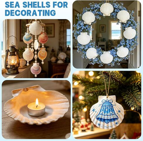 20 PCS 5"-6" Extra Large Scallop Shells for Crafts, Natural White Seashells for DIY Painting, Decoupage, Beach Wedding Gifts & Home Decor, Bulk Jumbo Scallop Shells (13-15cm) in Saudi Arabia