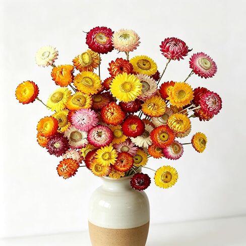 30Pcs Natural Dried Daisy Flowers Stems - Real Natural Dried Flowers Bouquet for Vase, Farmhouse Rustic Wedding Home Decor, DIY Handmade Dry Flower Arrangement, Gardening, Gift, Multi-Colored in Kuwait