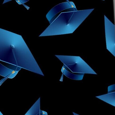 Three Rooker Graduation Ties Mens Graduation Cap Necktie Celebration Tie in Kuwait