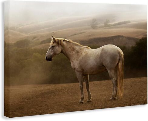 Stupell Industries Morning Mist Horse Portrait Canvas Wall Art Design by Jadei Graphics, 36 x 24 in Kuwait