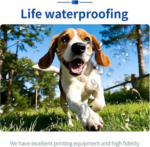 ZHADDLI Custom Photo Prints-water resistant(10pcs, 3.5" Lx5 W) - Photo Printing Services -Standard Size - Glossy - UNFRAMED in Saudi Arabia