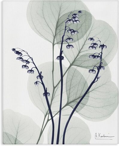 Stupell Industries Serene Modern Eucalyptus Canvas Wall Art, design by Albert Koetsier, 24 x 30 in Kuwait