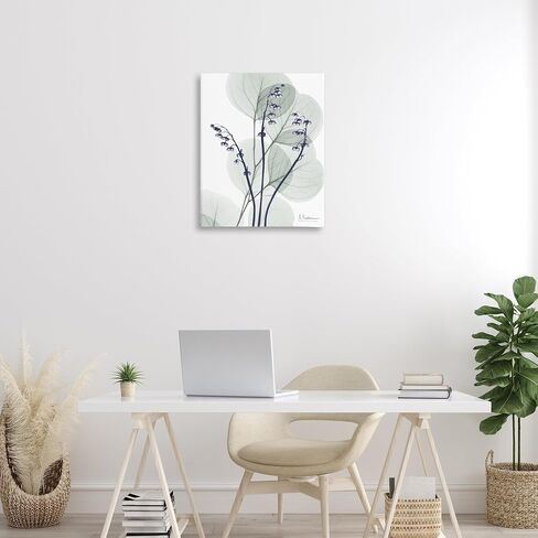 Stupell Industries Serene Modern Eucalyptus Canvas Wall Art, design by Albert Koetsier, 24 x 30 in Kuwait
