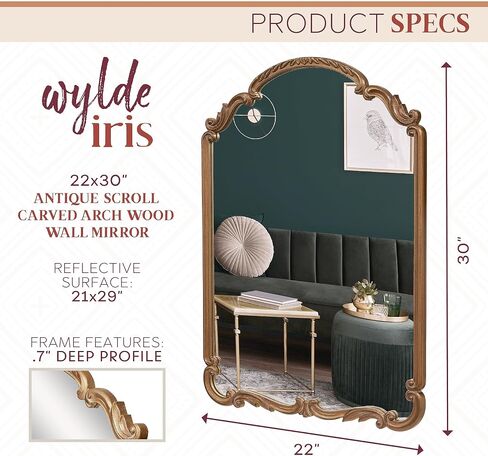 Wylde Iris English Estate Carved Arch Wood Wall Mirror, Mirror for Entryway, Living Room, Bathroom, Antique Black, 22x30 in Kuwait