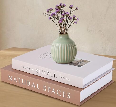 Decorative Books for Home Decor with Hidden Storage, Faux Book Box Set of 2 for Coffee Table & Shelves, Neutral Book Decor Aesthetic for Living Room Styling in Saudi Arabia