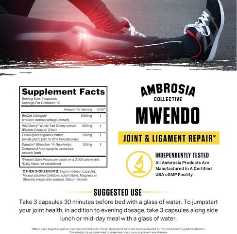 Ambrosia Mwendo Joint Support Supplement | BioCell Collagen, Tart Cherry & Cissus | Ligament, Tendon & Connective Tissue Support | ParActin for Mobility | 90 Veggie Capsules in Saudi Arabia
