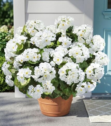 Fake Geraniums Artificial Flowers for Outdoors Outside, 6 Bundles White Silk Geraniums Fake Flowers Plants Realistic UV Resistant Faux Flowers for Outdoor Planters Garden Balcony Yard Porch Indoor in Saudi Arabia