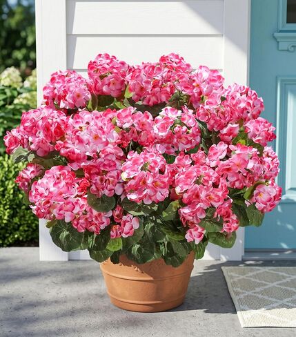 Fake Geraniums Artificial Flowers for Outdoors Outside, 6 Bundles White Silk Geraniums Fake Flowers Plants Realistic UV Resistant Faux Flowers for Outdoor Planters Garden Balcony Yard Porch Indoor in Saudi Arabia