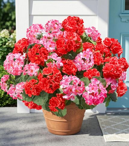 Fake Geraniums Artificial Flowers for Outdoors Outside, 6 Bundles White Silk Geraniums Fake Flowers Plants Realistic UV Resistant Faux Flowers for Outdoor Planters Garden Balcony Yard Porch Indoor in Saudi Arabia