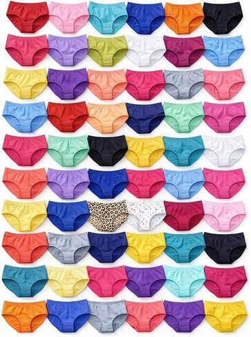 72 Pack Womens Panties in Bulk, Wholesale Ladies Brief Underwear, Homeless Shelters Charity Donations, Assorted Sizes Small-2X in Kuwait