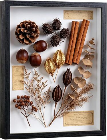 صندوق ظلال مقاس 11 × 14 - إطار صورة عميق مع لوحة مقاومة للكسر لديكور الحائط | حافظة عرض ثلاثية الأبعاد للميداليات العسكرية والزهور والصور والحرف اليدوية | هدية سهلة الفتح وجاهزة للتعليق (أسود) in Kuwait