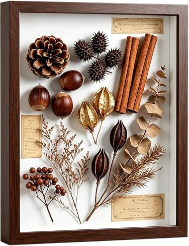 صندوق ظلال مقاس 11 × 14 - إطار صورة عميق مع لوحة مقاومة للكسر لديكور الحائط | حافظة عرض ثلاثية الأبعاد للميداليات العسكرية والزهور والصور والحرف اليدوية | هدية سهلة الفتح وجاهزة للتعليق (أسود) in Kuwait