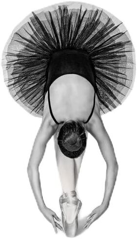 Pyramid International Ballet Technique Print (50cm x 40cm) (Gray/Black) in Saudi Arabia