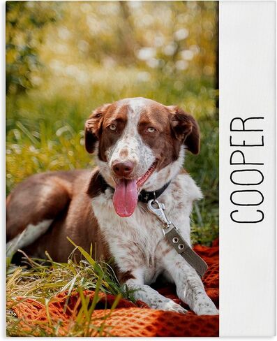Stupell Industries Pet Custom Print and Personalized Text Template Canvas Wall Art in Kuwait