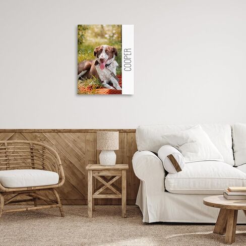 Stupell Industries Pet Custom Print and Personalized Text Template Canvas Wall Art in Kuwait