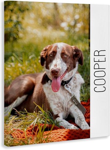 Stupell Industries Pet Custom Print and Personalized Text Template Canvas Wall Art in Kuwait