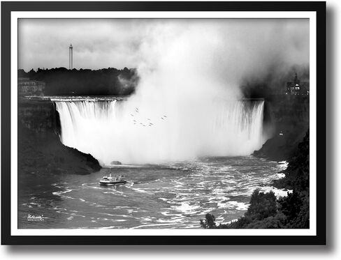 Photonability® Mist at Niagara Falls أبيض وأسود ميد بيردز كندا الولايات المتحدة الأمريكية شلال حدوة الحصان معرض فني جداري طباعة جيكلي للفنون الجميلة فقط (8x10 بوصة) in Kuwait