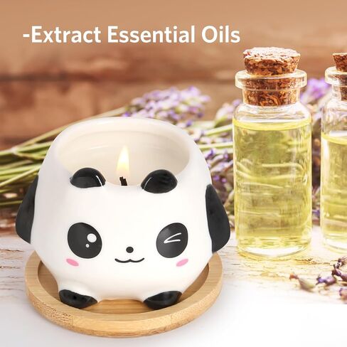 مجموعة هدايا الشموع المعطرة من كينفورس باندا، شموع شمع الصويا من البرتقال الحلو واللافندر، مجموعة هدايا مثالية للنساء، وأعياد الميلاد، وحفلات الزفاف، وعيد الميلاد، واليوجا، والحمام in Kuwait