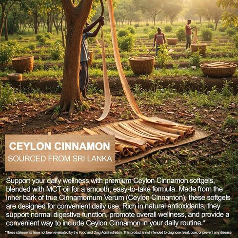 Ceylon Cinnamon - 300 Softgels with MCT Oil - Highly Bioavailable Herbal Supplement Made with True Ceylon Cinnamon, Supports Overall Wellness, Non-GMO, Gluten Free in Saudi Arabia