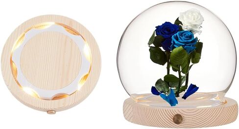 NBEADS Glass Dome Cloche with LED Light Base, High Transparency Display Dome Eternal Flower Glass Dome Cover for Centerpieces Plants Rocks Specimens Decorations Crafts, 4.7x4.56inch, Round in Kuwait