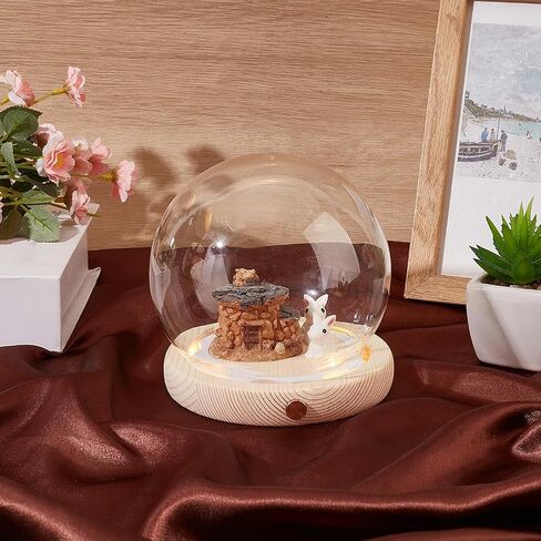 NBEADS Glass Dome Cloche with LED Light Base, High Transparency Display Dome Eternal Flower Glass Dome Cover for Centerpieces Plants Rocks Specimens Decorations Crafts, 4.7x4.56inch, Round in Kuwait