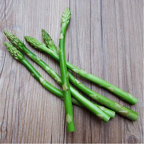 Zzooi 5PCS Artificial High Simulation Asparagus Asgus Display Props Cabinet Showcase Decoration in Kuwait