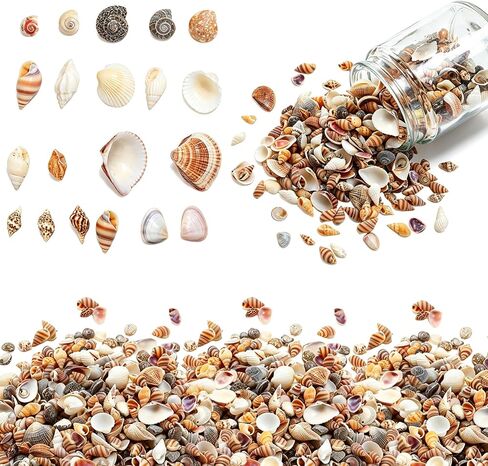 1500 Pcs Tiny Sea Shells for Crafting, Mini Seashells Mixed Ocean Beach Vase Filler for Beach Theme Party, Small Shells for Craft, Fish Tank Vase Filler DIY Craft Supplies in Kuwait