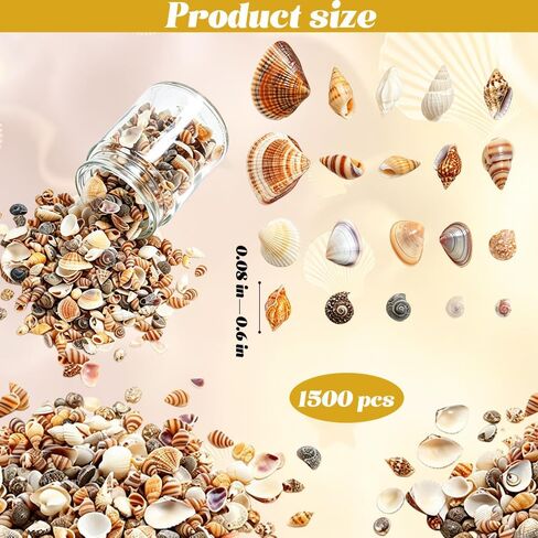 1500 Pcs Tiny Sea Shells for Crafting, Mini Seashells Mixed Ocean Beach Vase Filler for Beach Theme Party, Small Shells for Craft, Fish Tank Vase Filler DIY Craft Supplies in Kuwait